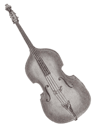 Bass